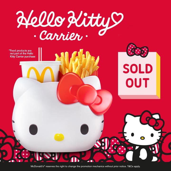 Image result for hello kitty carrier